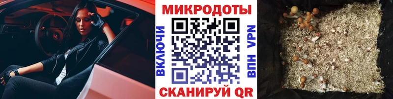 Псилоцибиновые грибы Magic Shrooms  Набережные Челны 