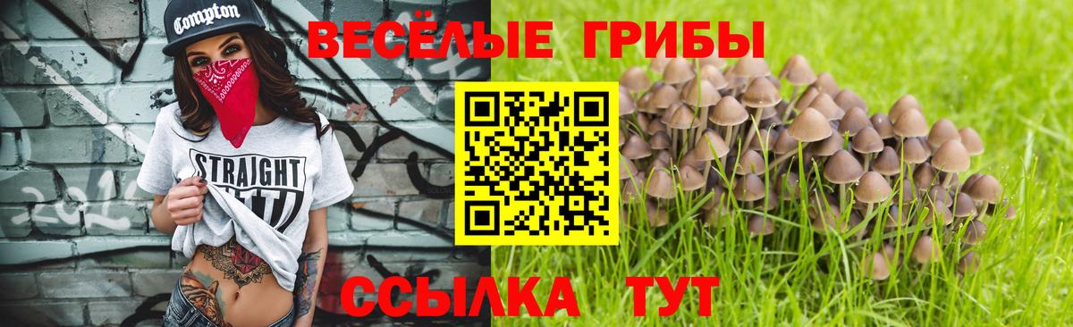 Псилоцибиновые грибы MAGIC MUSHROOMS Набережные Челны